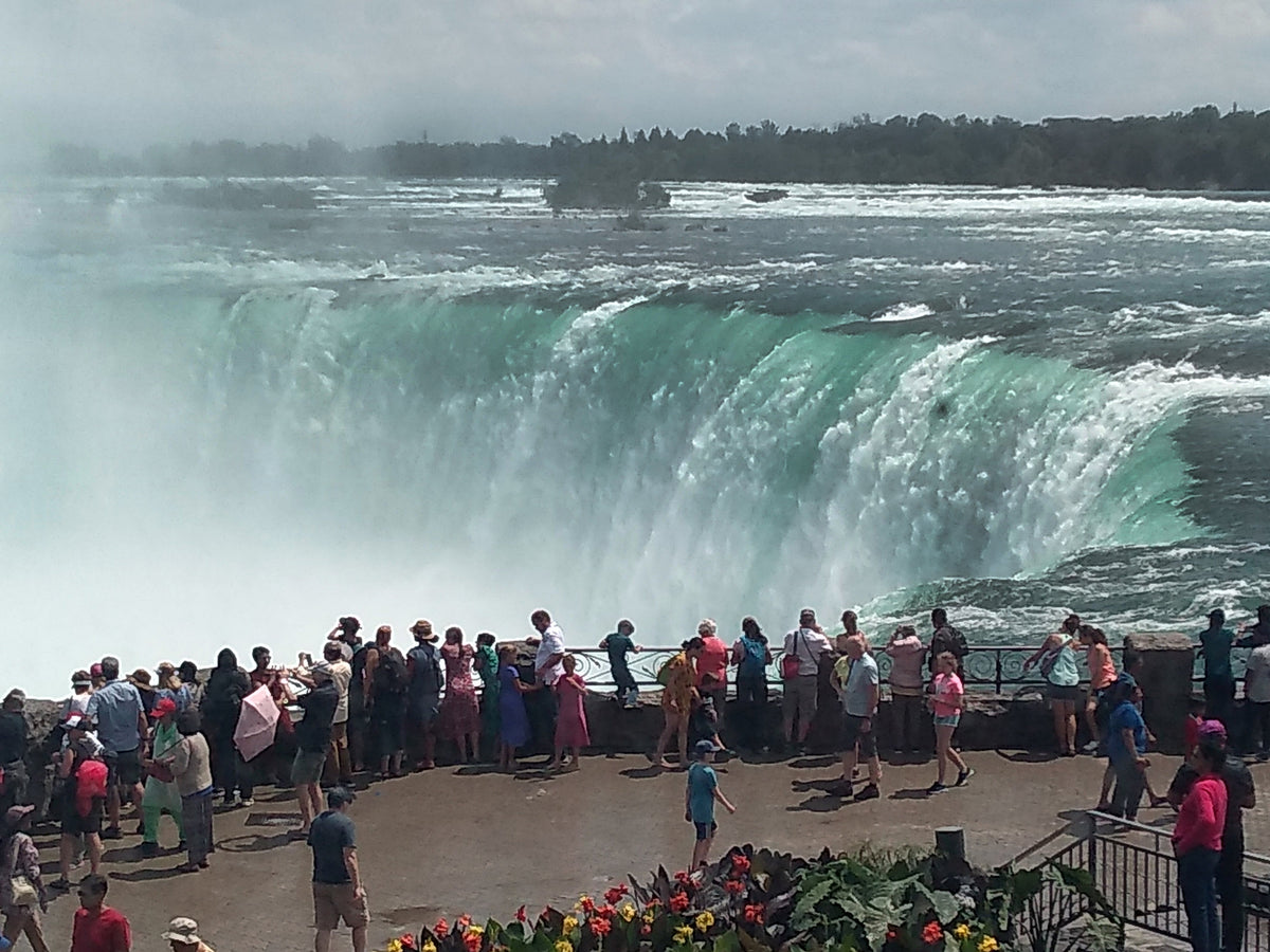 The Fifth Pallbearer - This is a departure from my regular blogs and I am looking for feedback